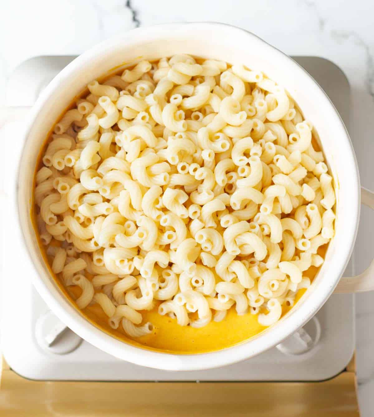 Cooked pasta on top of pumpkin sauce in a white stock pot.