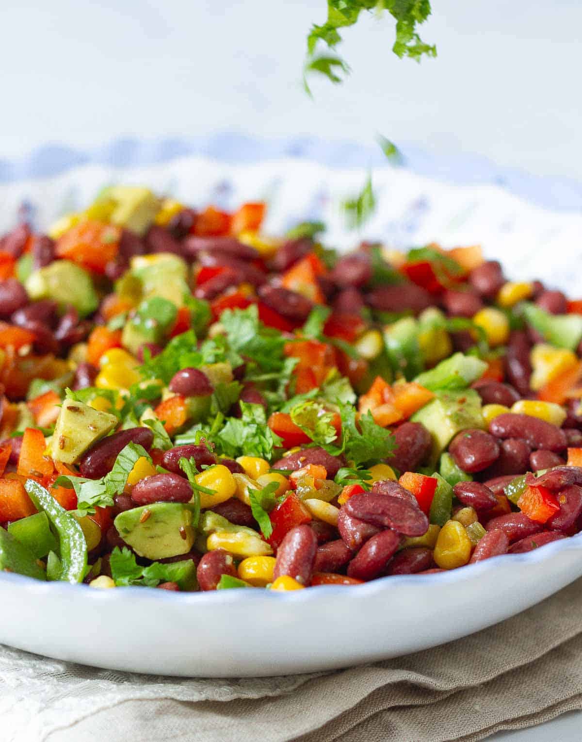 Sprinkling of cilantro on top of a bowl of salad.