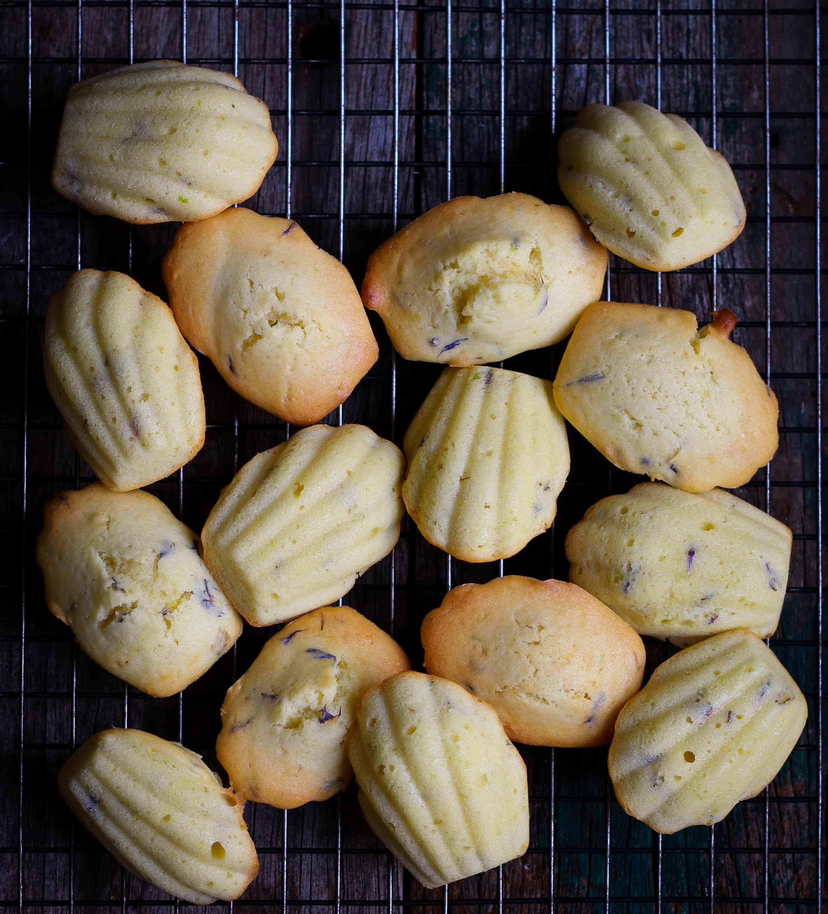 Orange Madeleines w/ dried blue cornflowers Orange Madeleines | Dried Blue Cornflowers French cake