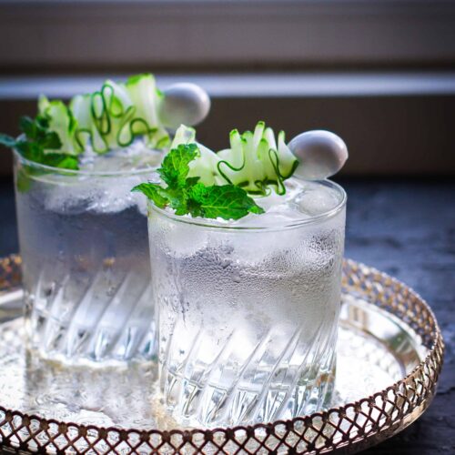Simple Gin And Tonic Recipe cocktail refreshing summer drink