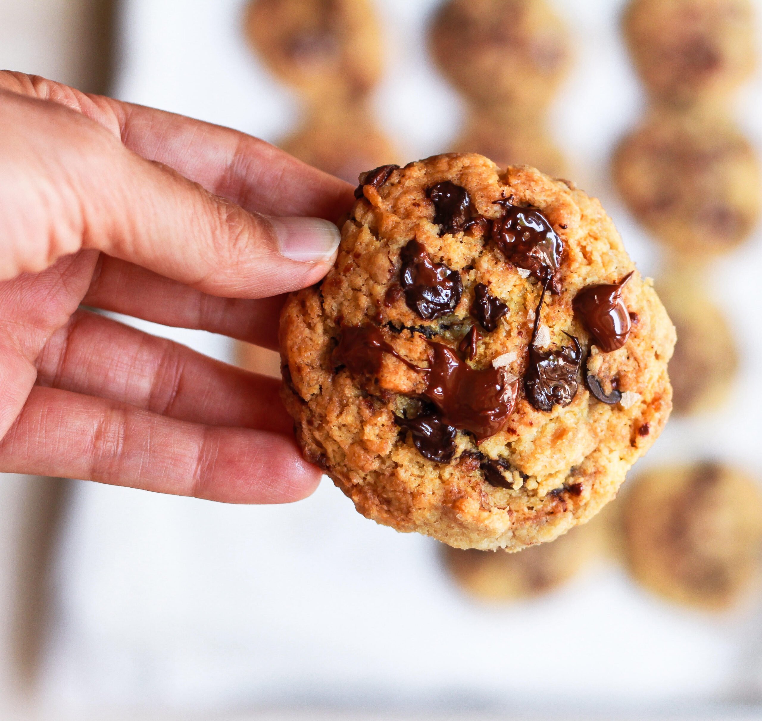 Chocolate Chip Tahini Cookies vegan eggless easy recipe