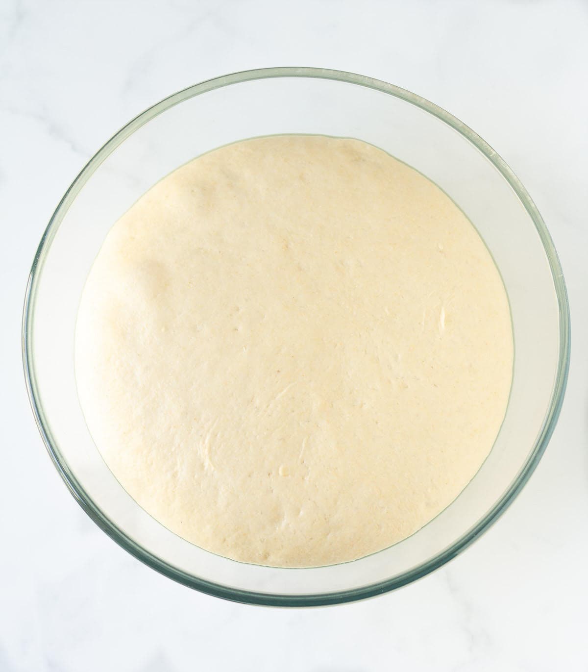 Proofed bread dough in a mixing bowl.