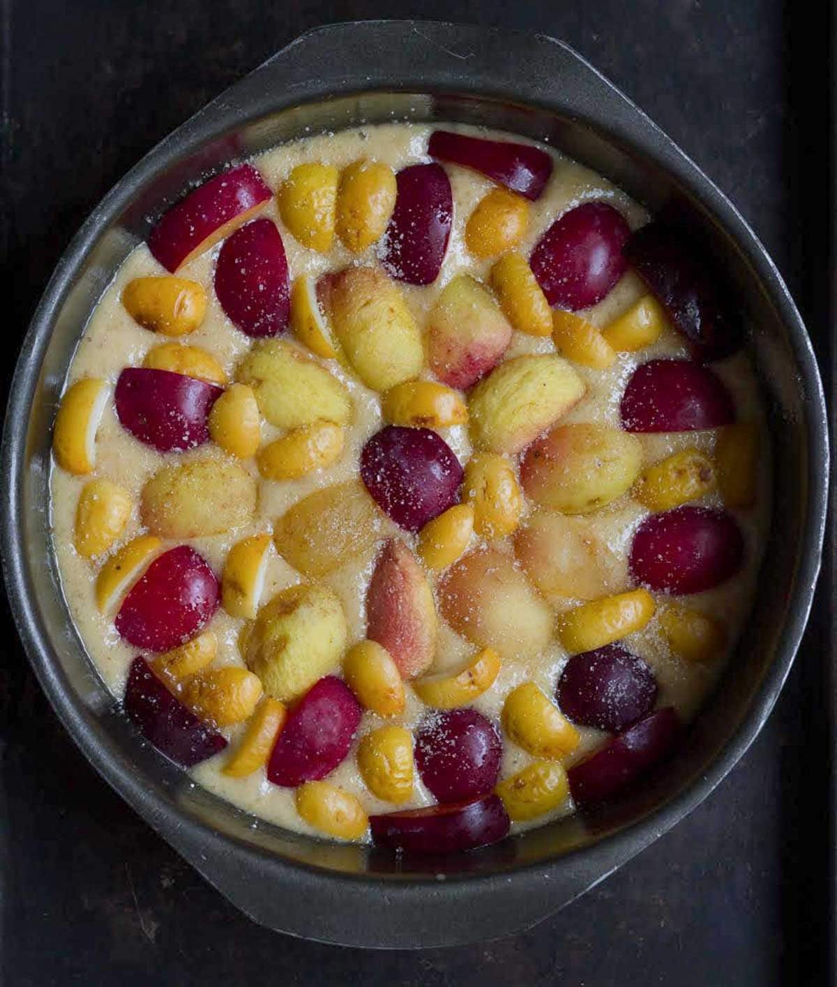 Cut plums and apricots arranged over cake batter in a cake pan.