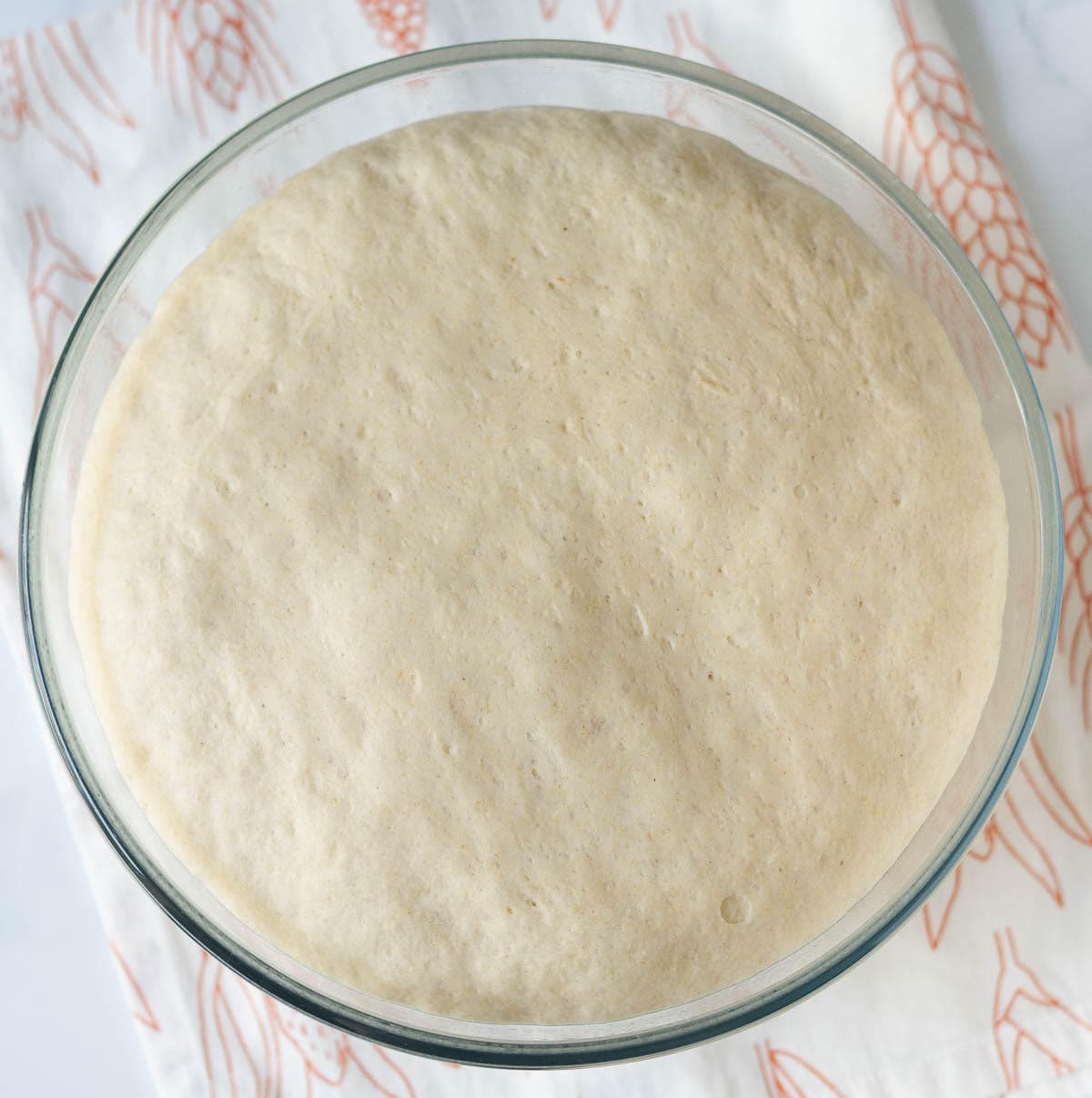 Proofed dough in a mixing bowl.