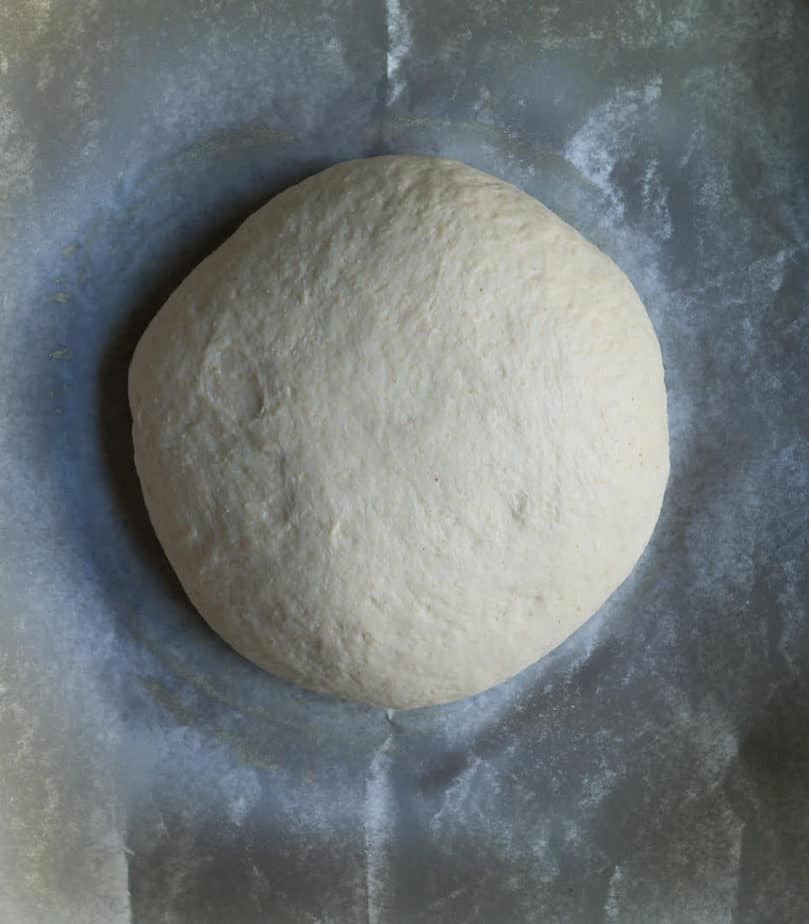 Dough shaped and ready for 2nd proofing 