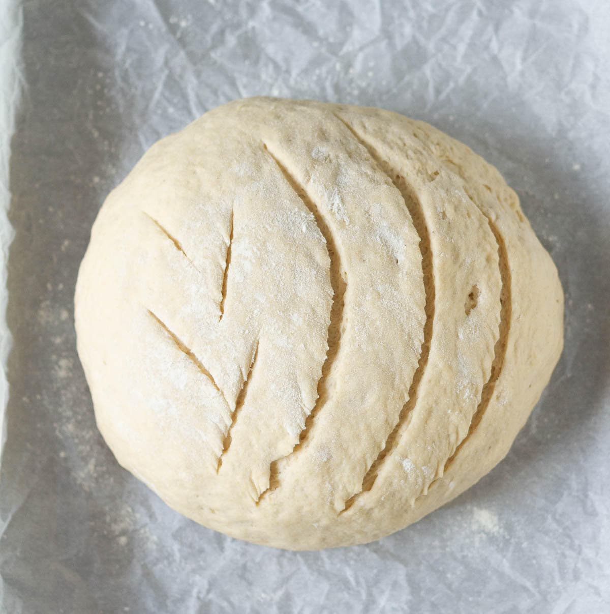 Scored bread dough on parchment paper.