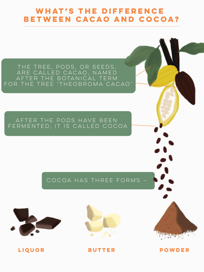 Cacao vs Cocoa