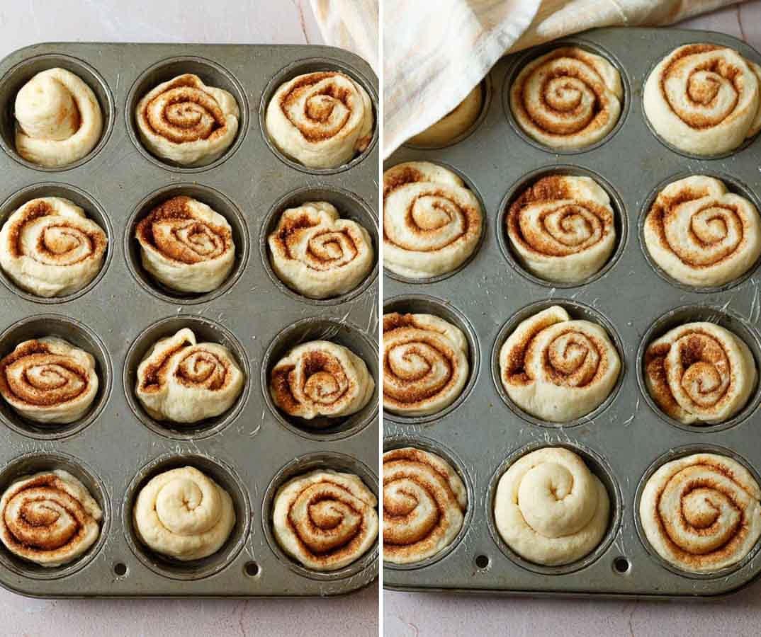 cinnamon rolls in a muffin tray for 2nd proofing