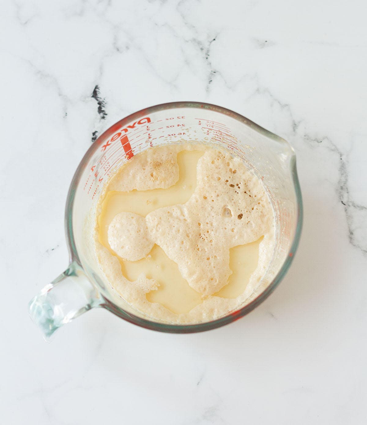 A bubbly, foamy yeast and water mixture in a measuring cup.