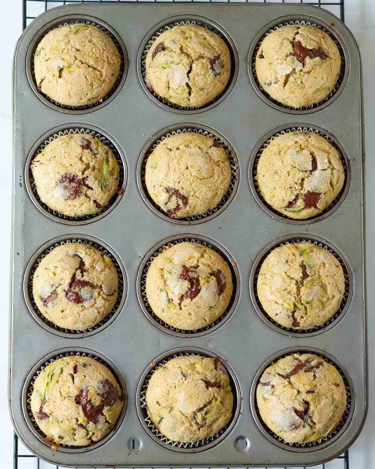 Baked zucchini chocolate chip muffins in a muffin tin.