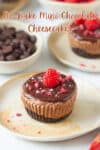 A mini chocolate cheesecake with Oreo crust and raspberry on top.